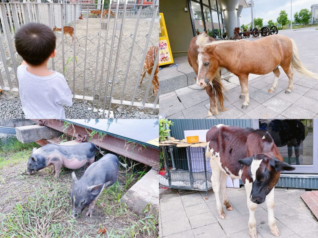 潮州鐵道園區「動物餵食趣」