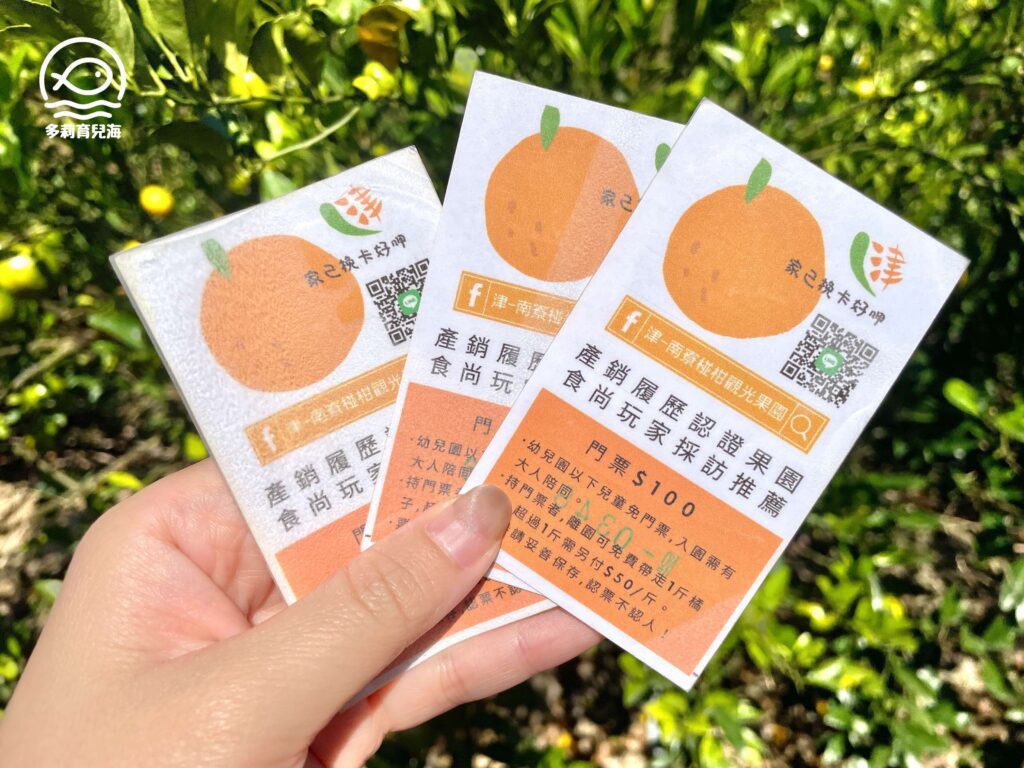 津-南寮椪柑觀光果園