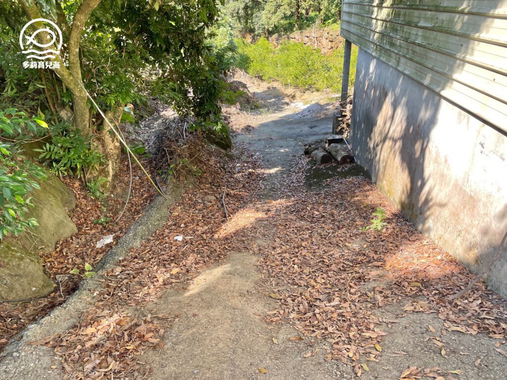 津-南寮椪柑觀光果園