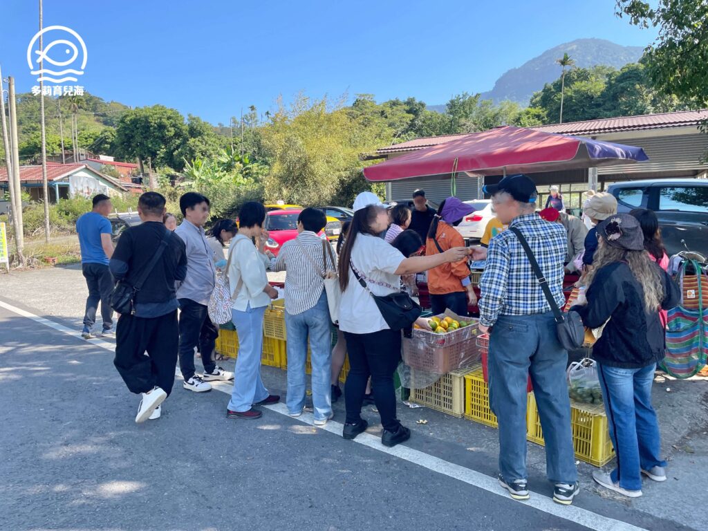 津-南寮椪柑觀光果園