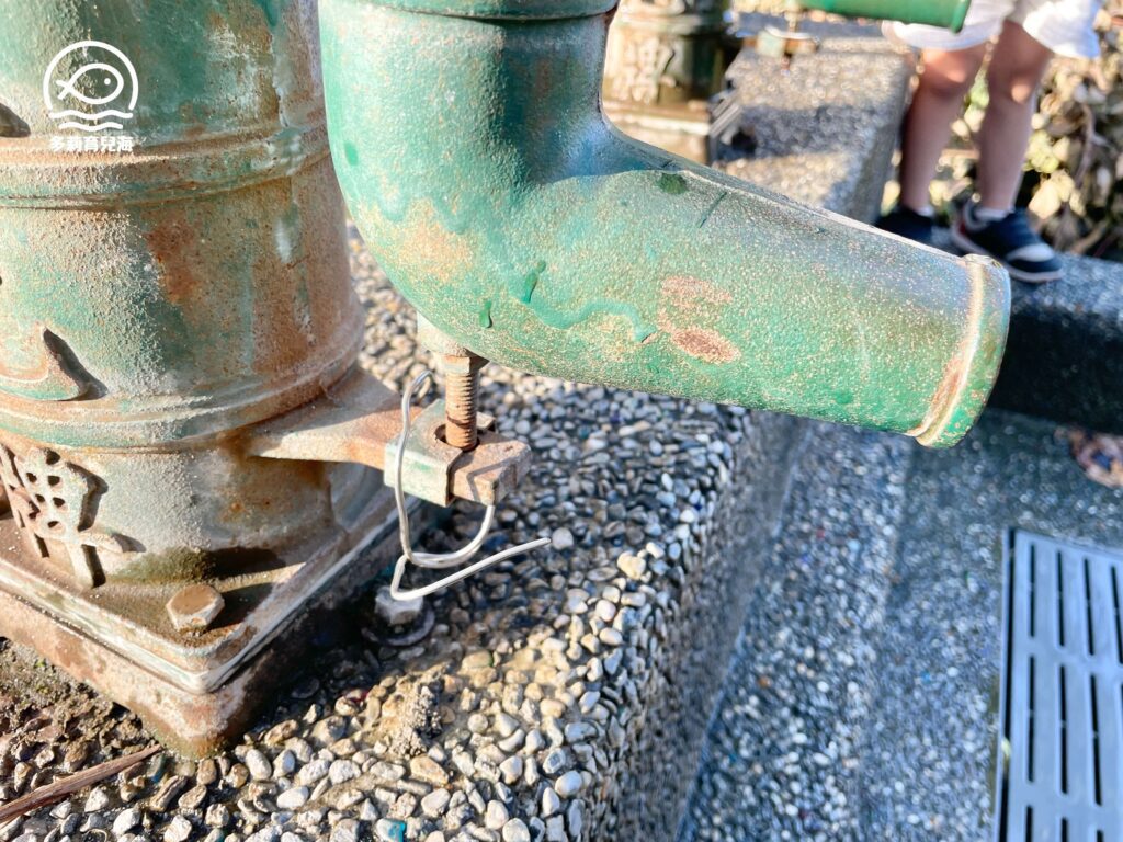 花蓮長頸鹿公園