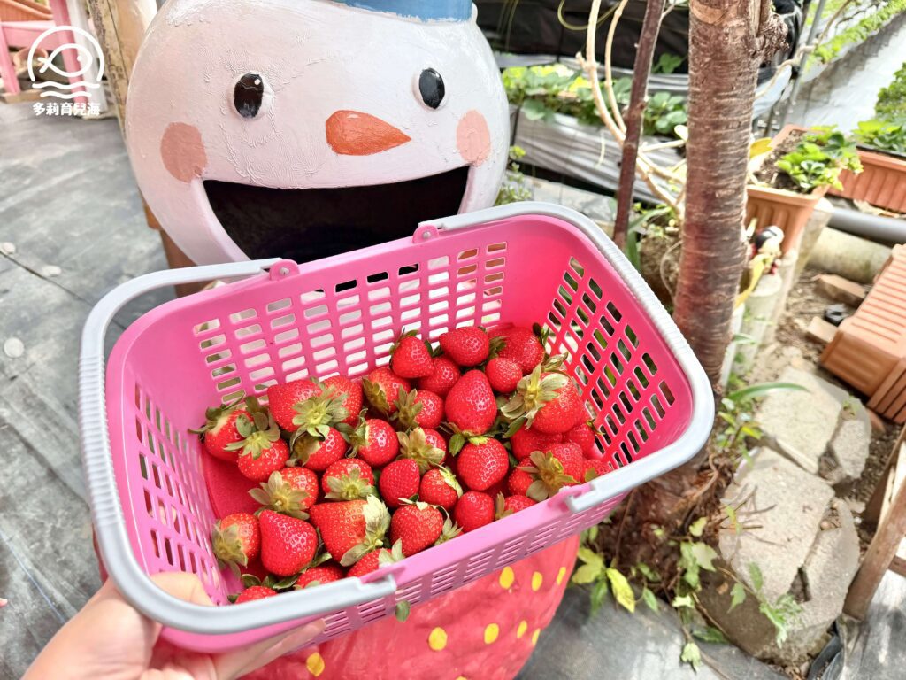 幸福菓子高架草莓園