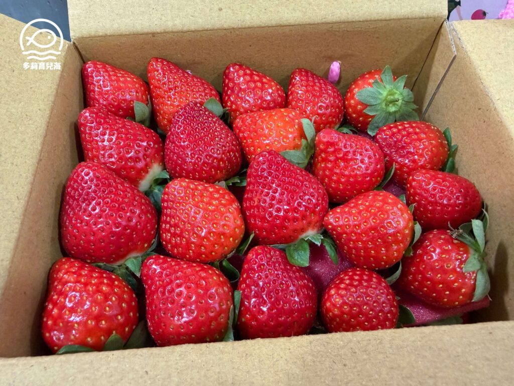 幸福菓子高架草莓園